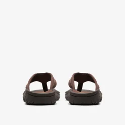 Clarks WESLEY BELT Dark Brown Store