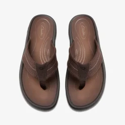 Clarks WESLEY BELT Dark Brown Store