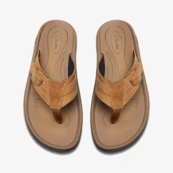 Clarks WESLEY SUN Tan Leather Store